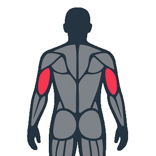 Meilleurs exercices pour travailler le triceps