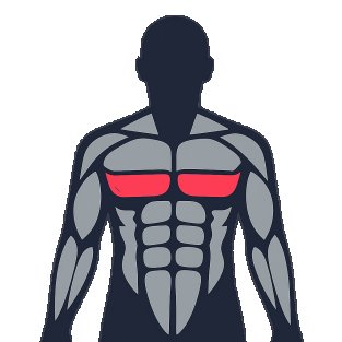 Meilleurs exercices pour travailler le pectoraux inférieurs