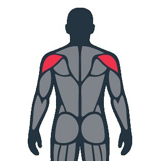 Meilleurs exercices pour travailler le Épaules