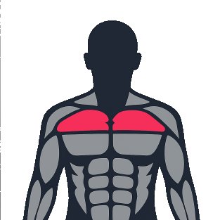 Meilleurs exercices pour travailler le haut des pectoraux
