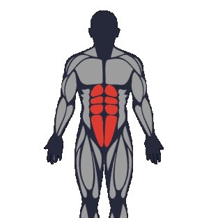 Meilleurs exercices pour travailler le abdominaux
