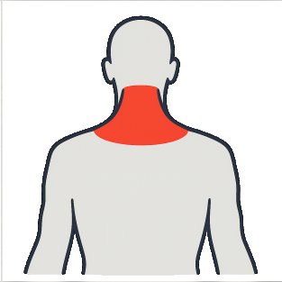 Meilleurs exercices pour travailler le cou