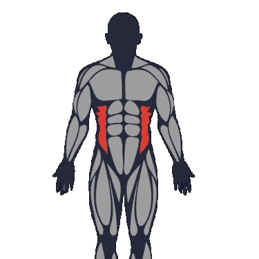 Beste Übungen für schräge bauchmuskeln
