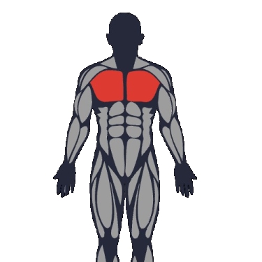 Migliori esercizi per lavorare pettorali