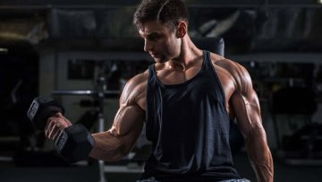 Programme prise de muscle débutant avec haltères et élastiques