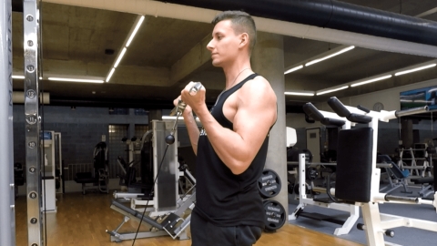 Image Bizepscurls am Kabelzug