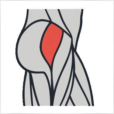 Meilleurs exercices pour travailler le abducteurs