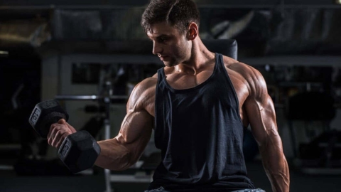 Programme prise de muscle débutant avec haltères et élastiques