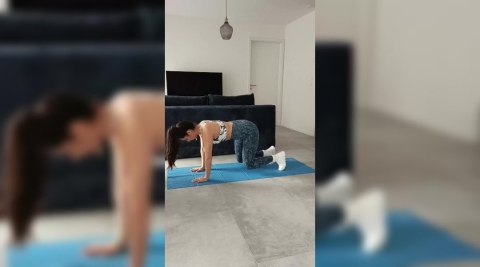 Image Marche de l'ours